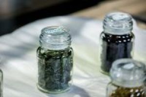 Przykładowe rośliny przyprawowe w pojemnikach