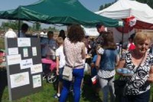 Namiot Fundacji podczas obchodów majówki na zamku