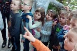 Dzieci podczas wycieczki - Palmiarnia Łódź