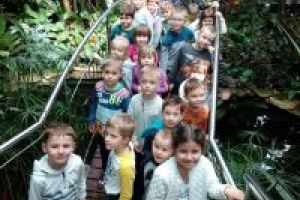 Dzieci podczas wycieczki - Palmiarnia Łódź