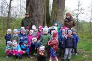 Wycieczka dzieci do lasu - Podlas