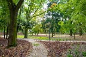 Park miejski