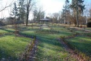 Park po rewaloryzacji - altana