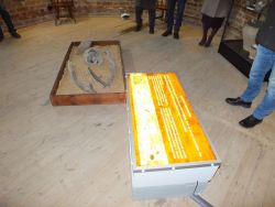 nowa wystawa stała zamek rawski