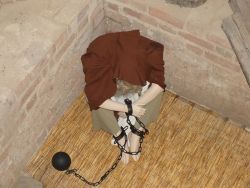 nowa wystawa stała zamek rawski