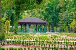 Nowe nasadzenia i altana