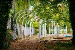 Park miejski - berso