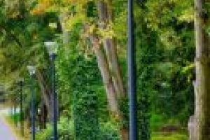 Latarnie w parku miejskim