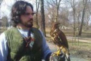 Sokolnik z myszołowem