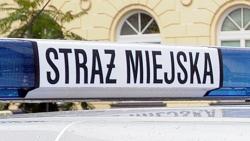obrazek napisu Straż Miejska