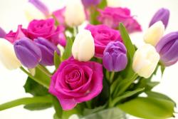 bukiet białych i fioletowych tulipanów i różowych róż