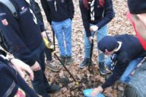 W poszukiwaniu sybolu narodowego i wskazówki