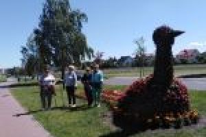 Osoby ćwiczą nordic walking, wizerunek pawia obsadzony kwiatami