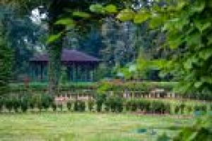 Park po rewaloryzacji - altana