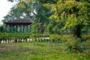 Park po rewaloryzacji - altana