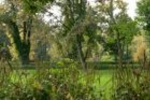 Park po rewaloryzacji