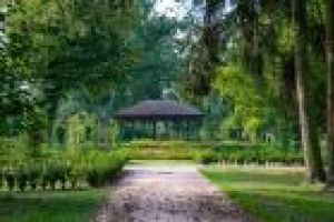 Park po rewaloryzacji - altana