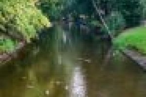 Park po rewaloryzacji - widok na rzekę Rawkę