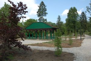 Alejki przy altanie i nowe nasadzenia