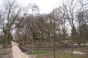 Przygotowanie nowych alejek