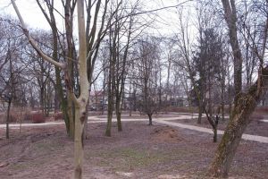 Przygotowanie nowych alejek