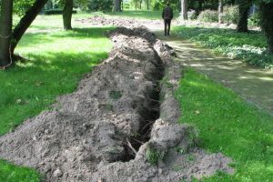 Postępy prac w parku