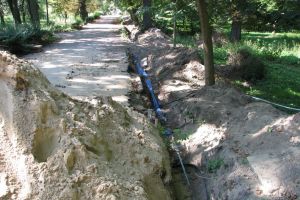 Postępy prac w parku