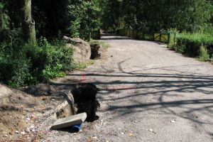 Postępy prac w parku