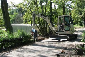 Postępy prac w parku