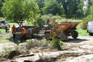 Ciężki sprzęt pracuje w parku