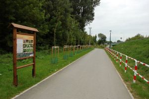 tablica edukacyjna przy ścieżce