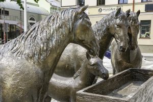 rzeźby koni na Pl. Wolności