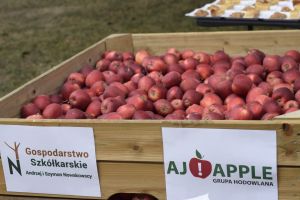 _DSC0574 jabłka w skrzyni