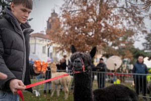 20251207-152545-015-2761_ILCE-1