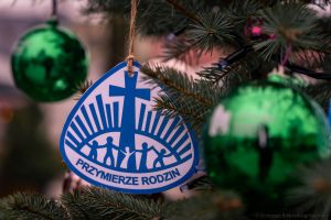 20251207-153036-523-9769_ILCE-1