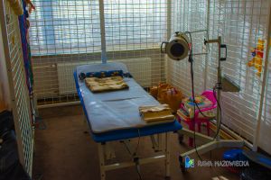 20260202_112307-_DSC8921