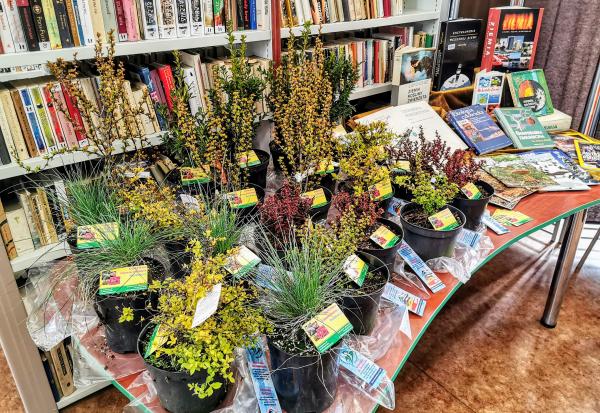 Dzień Ziemi w bibliotece