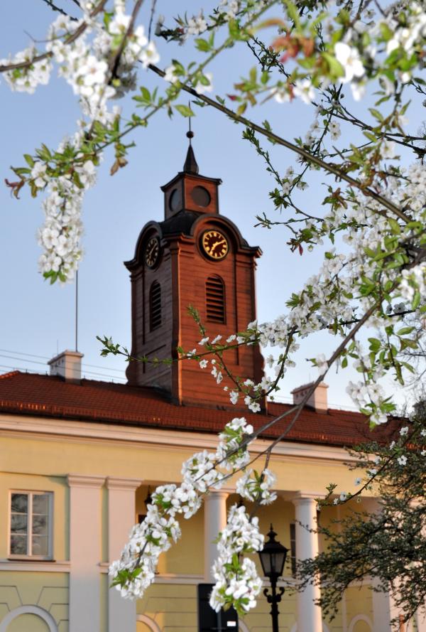 4 czerwca urząd nieczynny