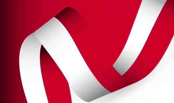 Obchody Narodowego Święta Niepodległości w Rawie