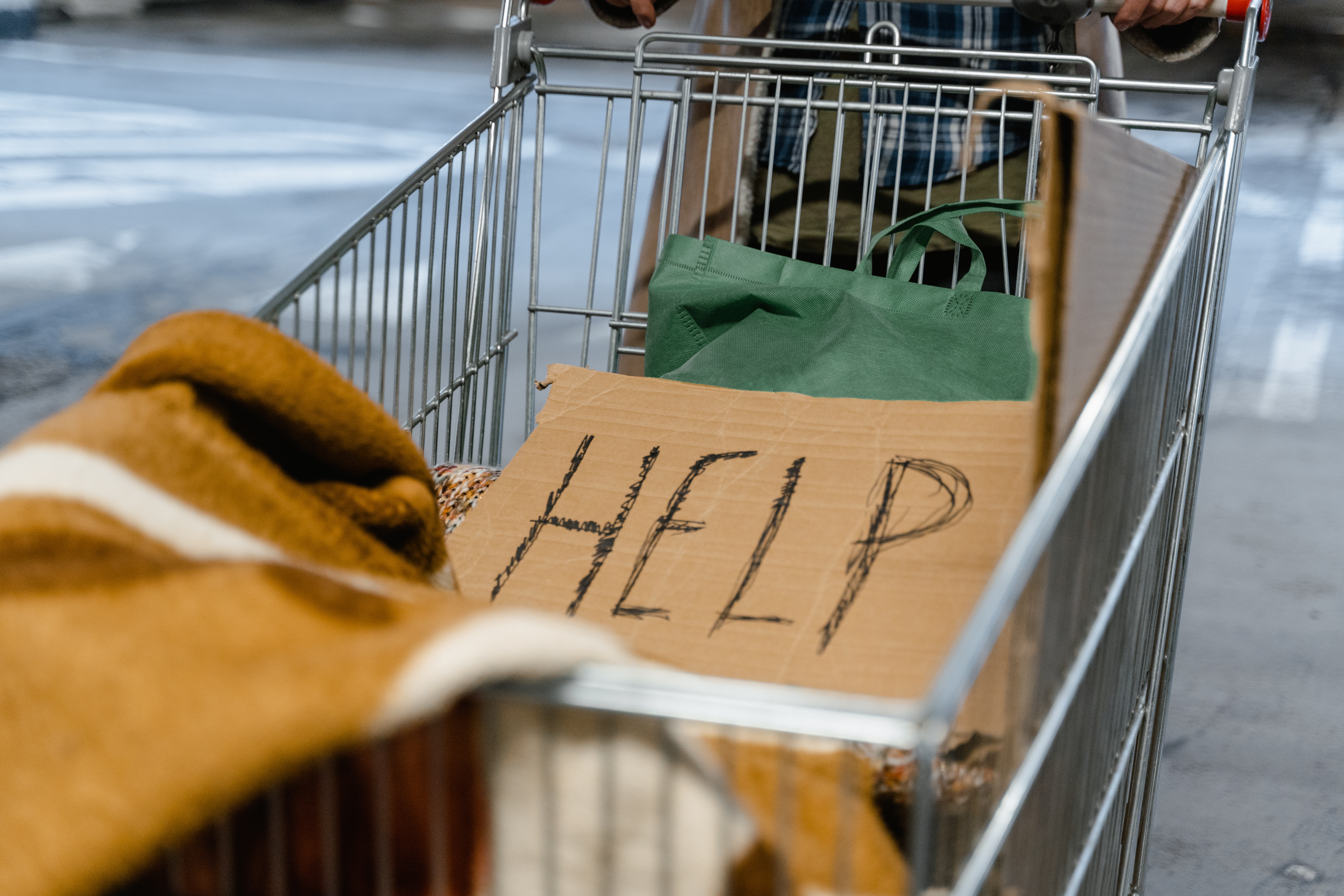 Wyniki konkursu ofert: zapewnienie schronienia osobom bezdomnym