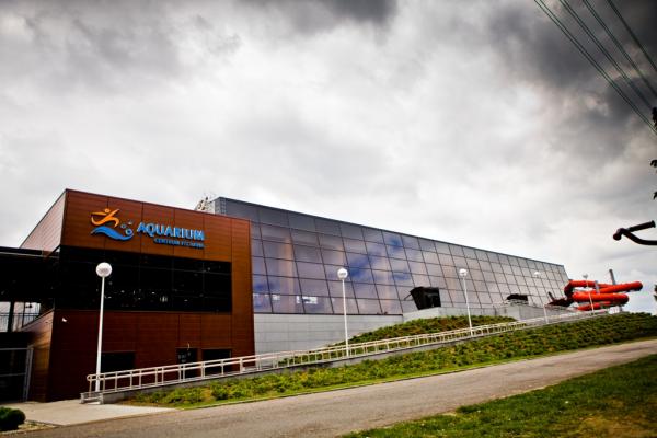 Ferie zimowe z Aquarium