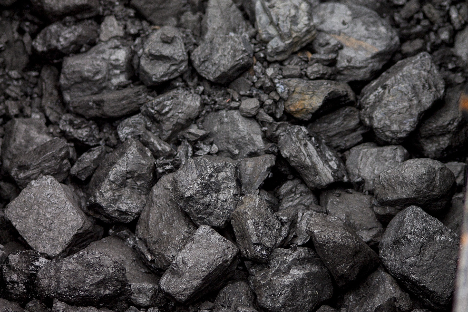 Zakup preferencyjny węgla dla gospodarstw domowych z terenu miasta Rawa Mazowiecka